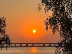 -宝安西湾红树林湿地公园