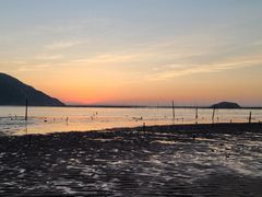 -北岐滩涂
