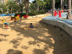 -宝安西湾红树林湿地公园