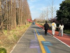 -上海长兴岛郊野公园