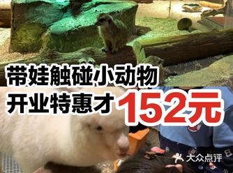 带娃触碰小动物开业特惠才152元