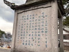 -鲁镇