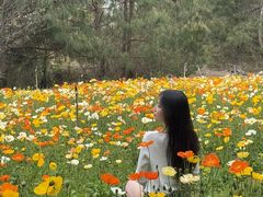 -名花谷生态庄园