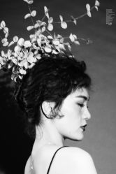 点击看大图 -YISHU一树影像工作室(惠城店)