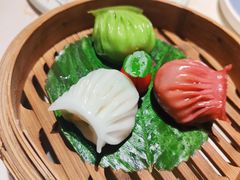 -点都德·毕德寮