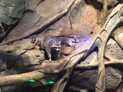 -波塞冬旅游度假区