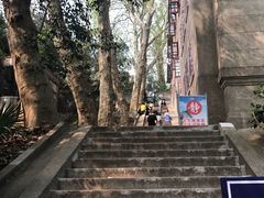 -武汉大学-樱园