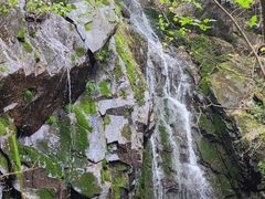 -藏龙百瀑风景区