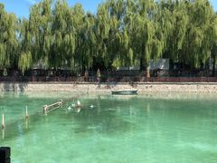 -尚庄度假村·庭台树下·户外烧烤·团建CS·轰趴营地(上庄水库店)