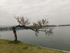 -石湖景区