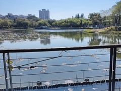 -映月湖公园