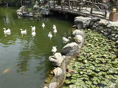 -天毓山庄·餐厅