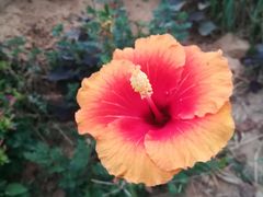 -仙海旅游度假区