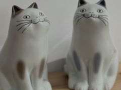 -猫里有甜