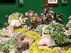 -德基艺术博物馆