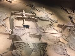 -洛阳周王城天子驾六博物馆