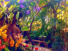 -Chom Cafe and Restaurant