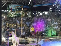 -清迈夜间动物园