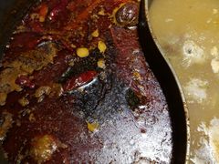 -颐辰舍岁岁羊(文昌万达景园店)