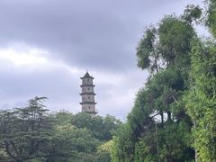 -江心屿景区