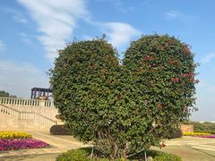-东莞植物园