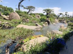 -罗红摄影艺术馆