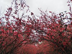 -塔子山公园