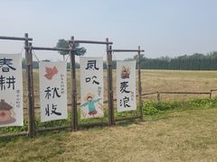 -汉长安城未央宫国家考古遗址公园