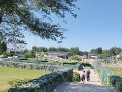 -莫子山公园