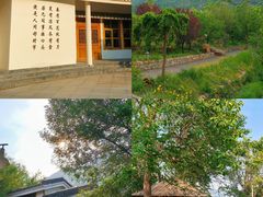 -禅宗少林·音乐大典