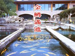 -天源渔港农庄