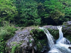 -龙苍沟森林公园
