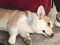 -22ºN BISTRO西餐&酒馆