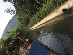 -鑫福楼农家菜