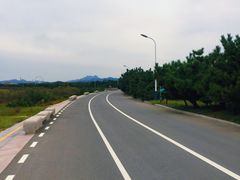 -日照海滨国家森林公园