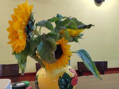 -panchos 墨西哥餐厅(嘉绿苑店)