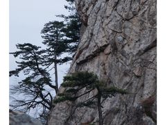 -太平万花山景区
