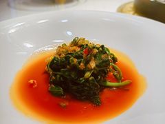 蒜泥芹菜叶-松云泽