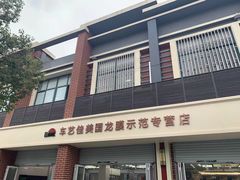 -车艺佳龙膜隐形车衣汽车贴膜(宝山丰宝店)