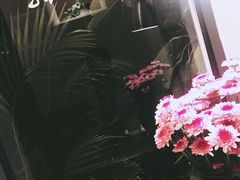 -默迹咖啡馆