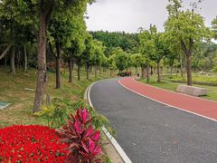 -牛岗山公园