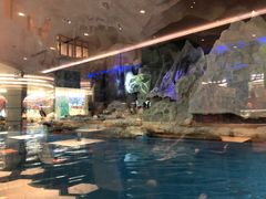 -帝企鹅自助餐厅•儿童岛•真企鹅(长隆企鹅酒店)