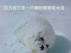 -北京莲花山滑雪场