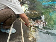 -海合安成都极地海洋公园