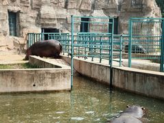 -哈尔滨北方森林动物园