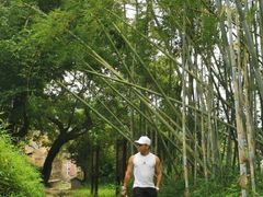 -苏家围·东江画廊旅游景区