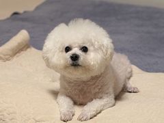 -全心全意连锁动物医院·特色中医诊疗(会城门分院)