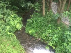 -同里国家湿地公园