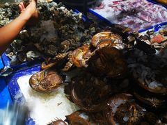 -Jomtien Talay Pao Pattaya
