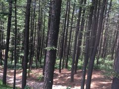 -驼梁风景区